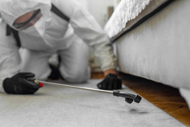 Professional Cockroach Control technician working in Minerva Park, OH